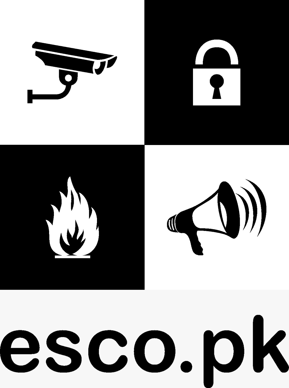 Electronic Security Company (ESCO)